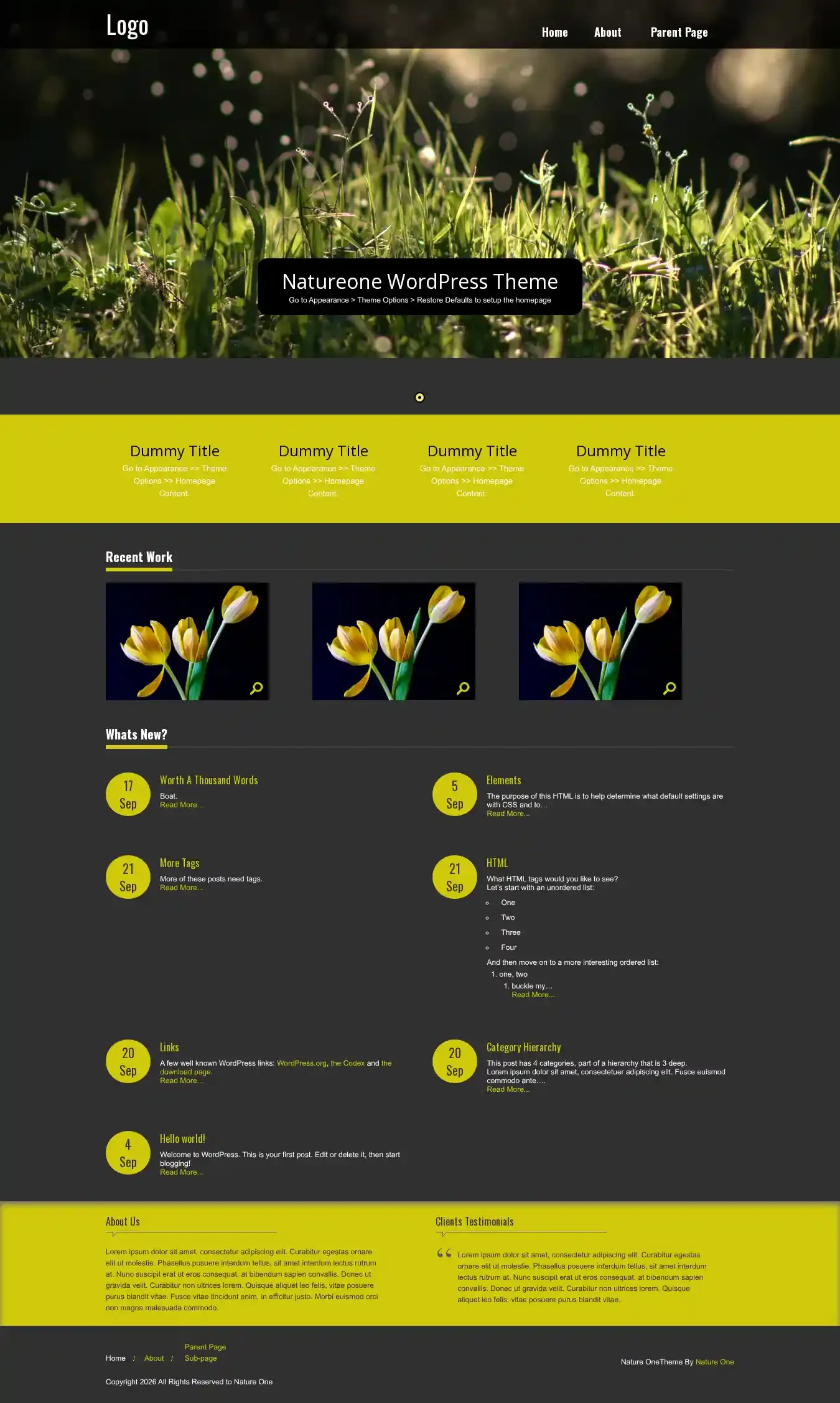 Nature One home page on desktop