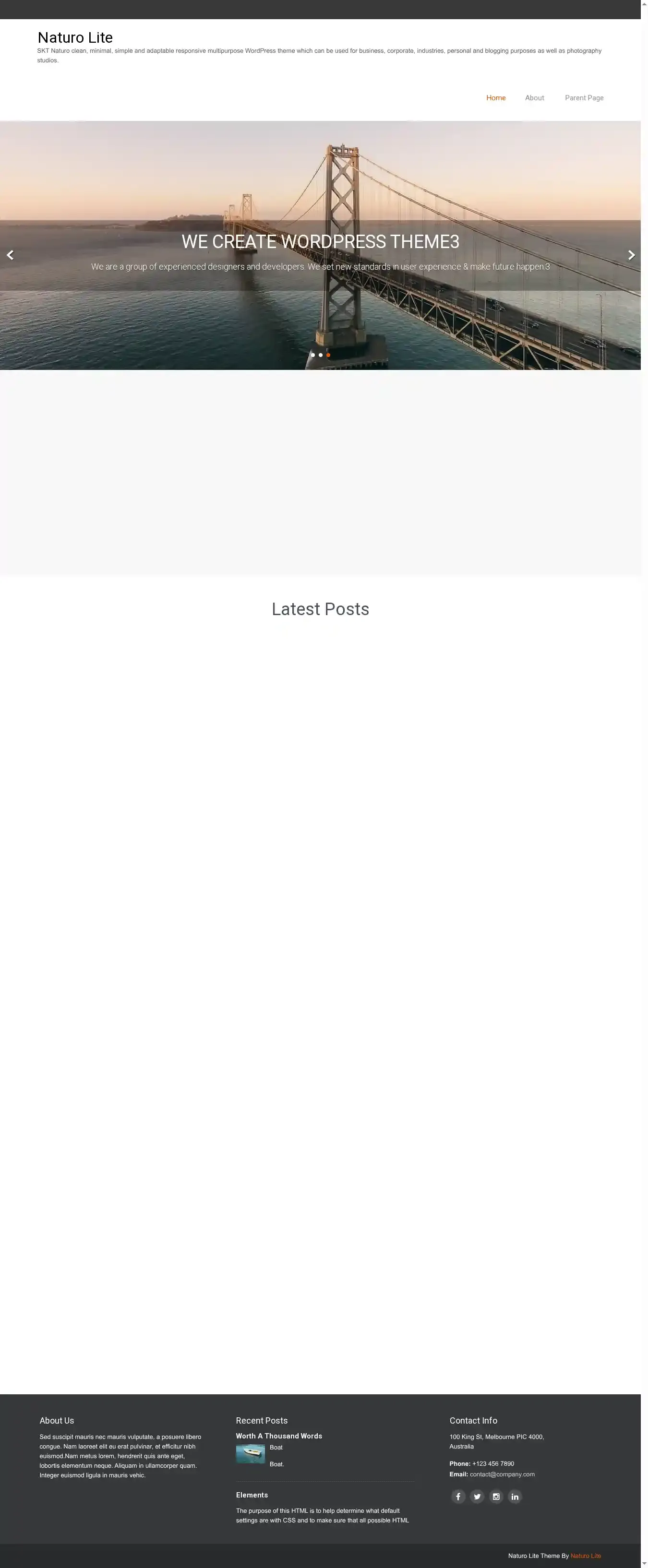 Naturo Lite home page on desktop
