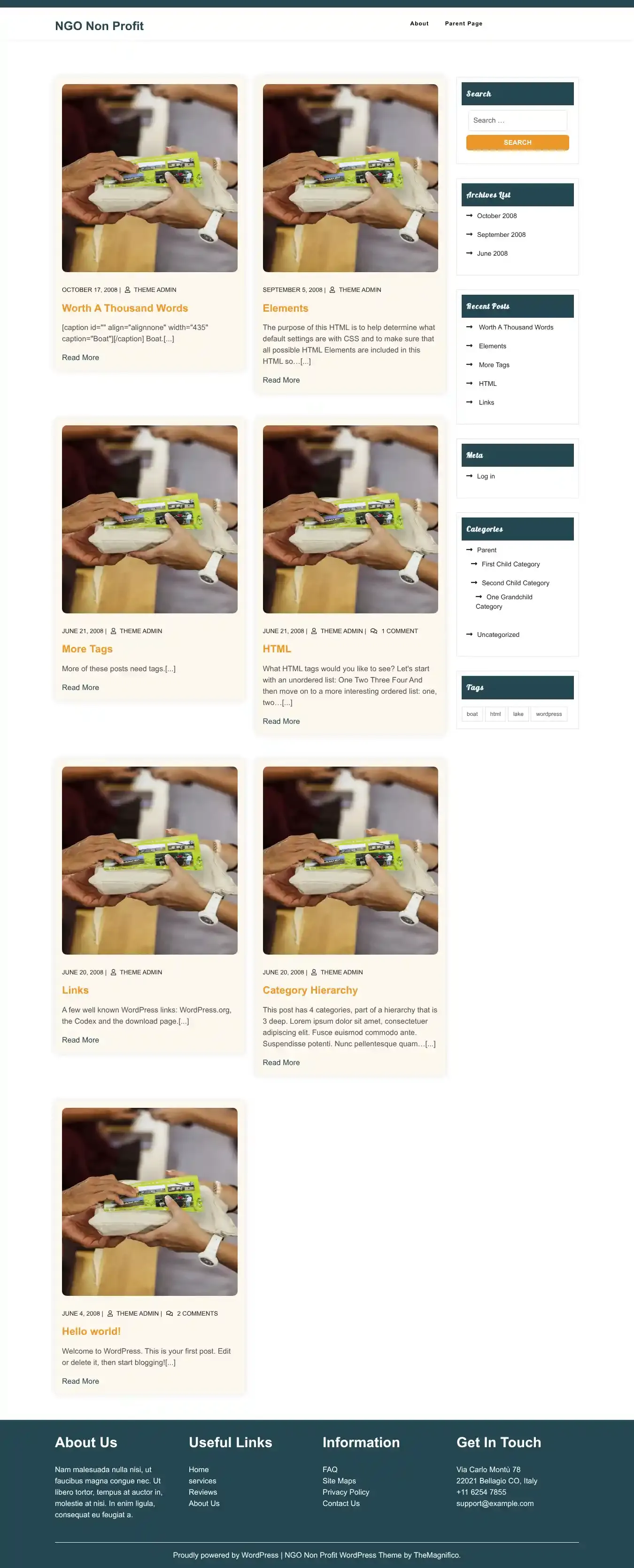 NGO Non Profit home page on desktop