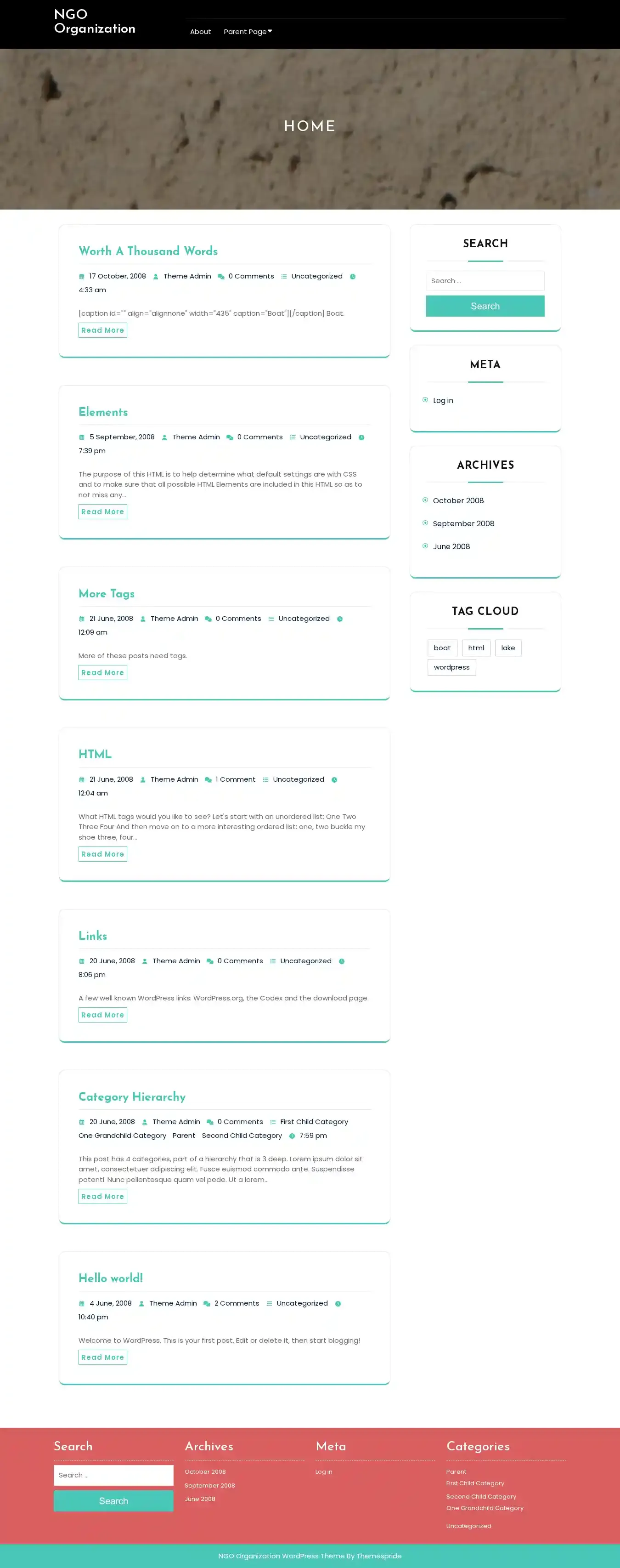 NGO Organization home page on desktop