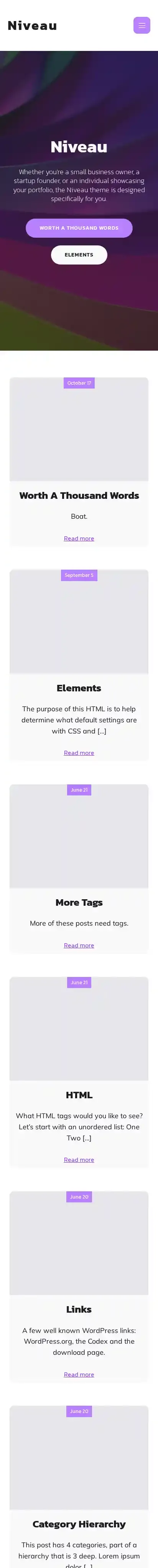 Niveau home page on mobile