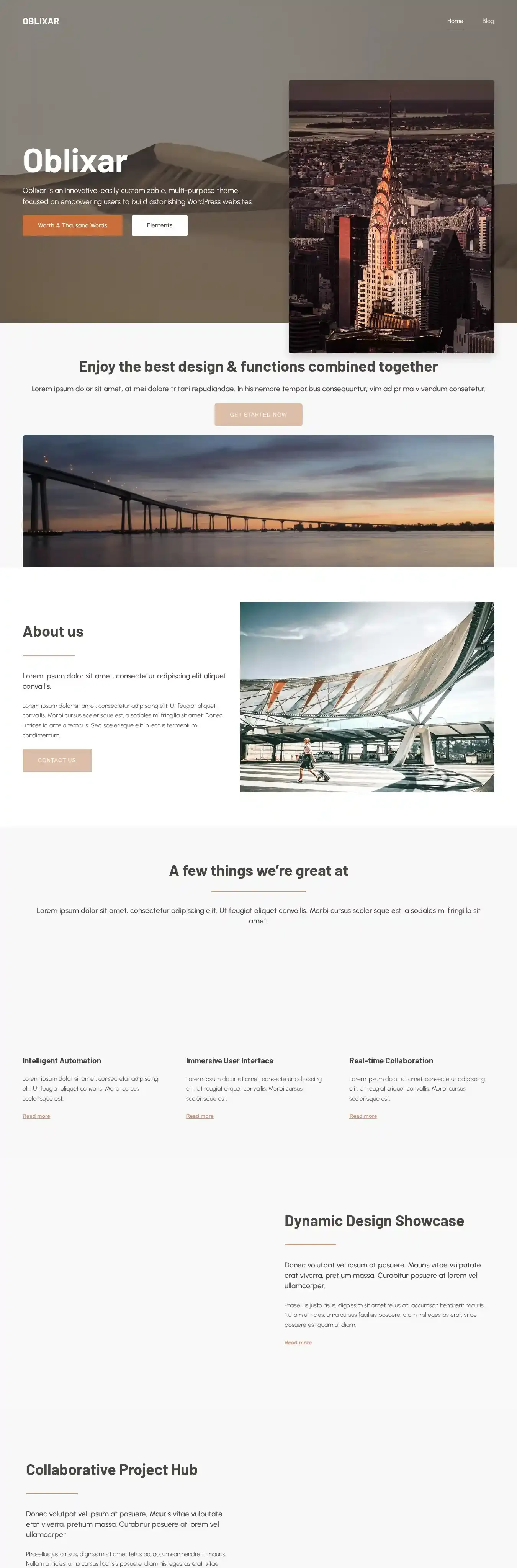 Oblixar home page on desktop