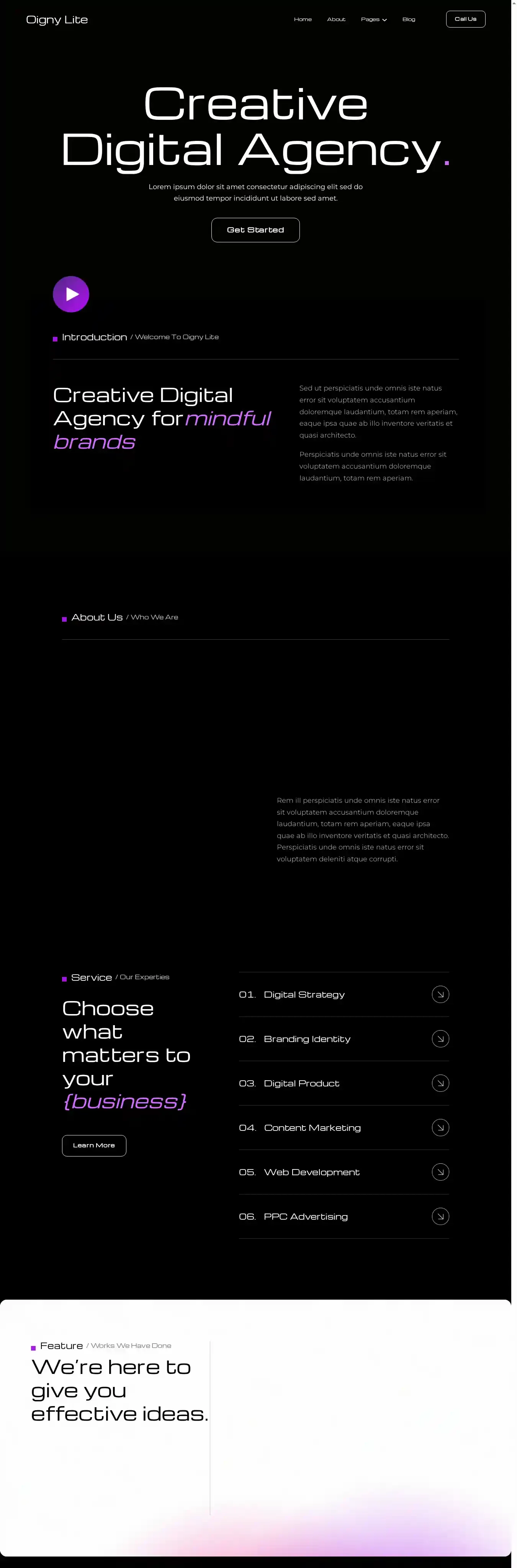 Oigny Lite home page on desktop