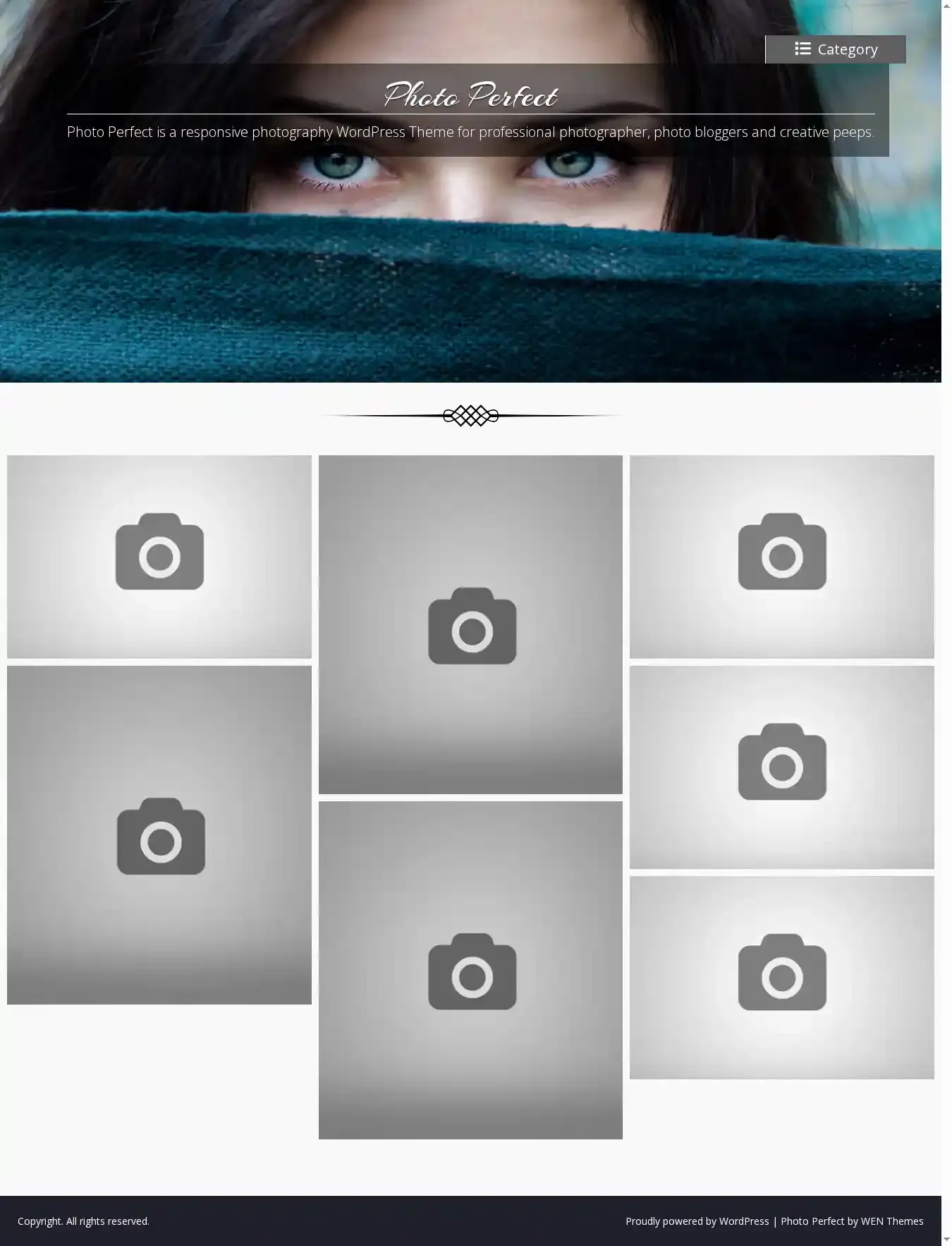 Photo Perfect home page on desktop