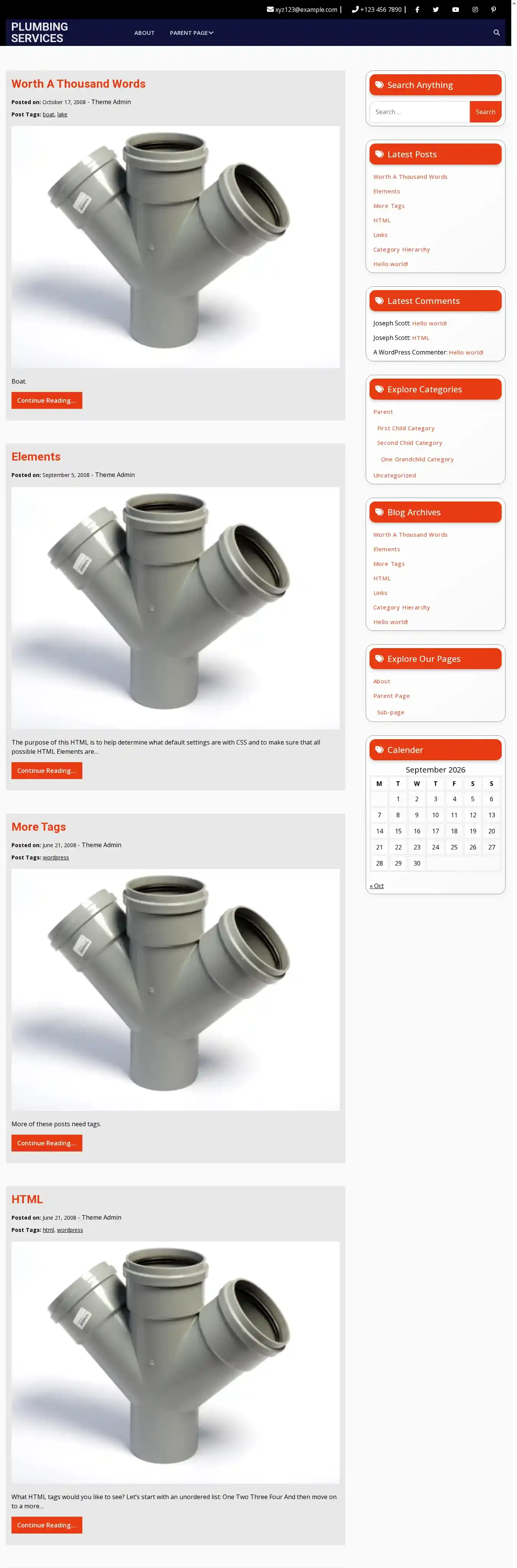 Plumbing Services home page on desktop