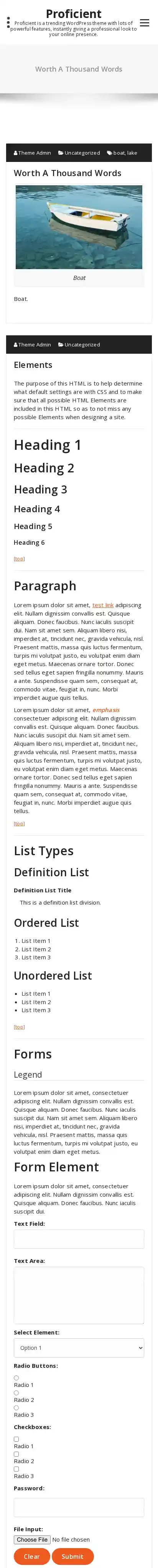 Proficient home page on mobile