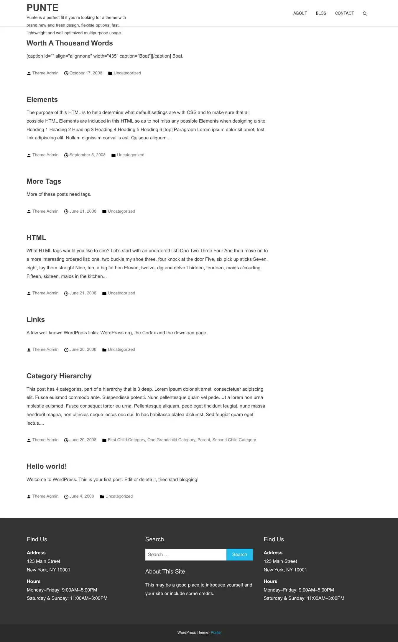 Punte home page on desktop