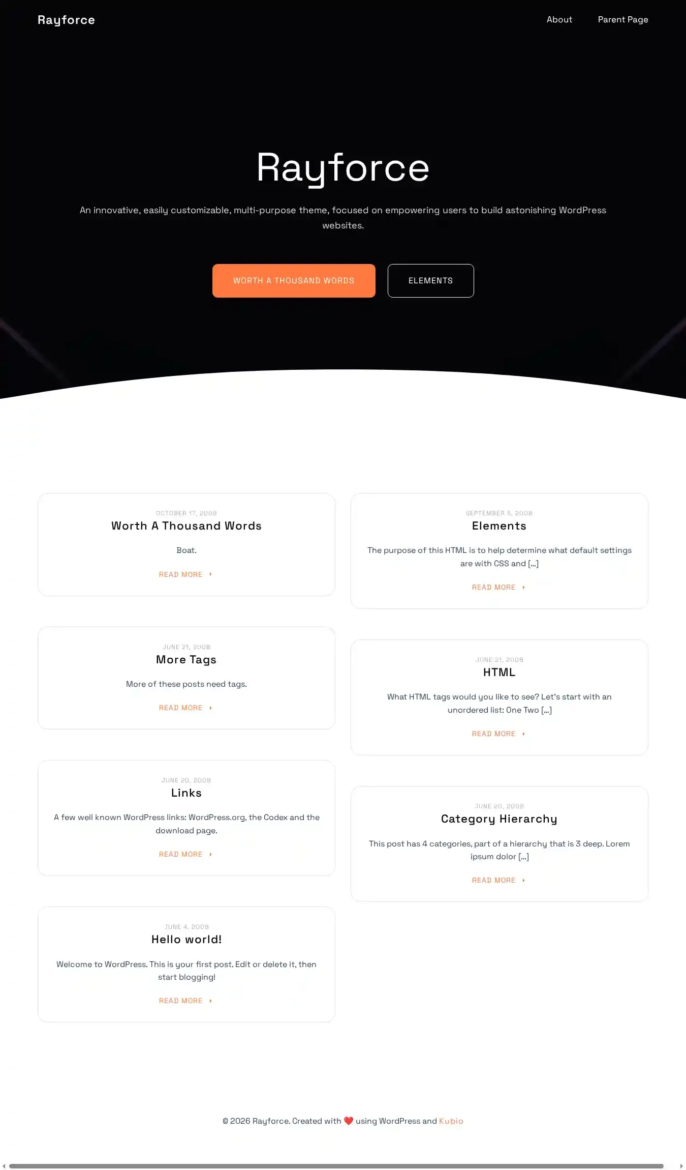 Rayforce home page on desktop