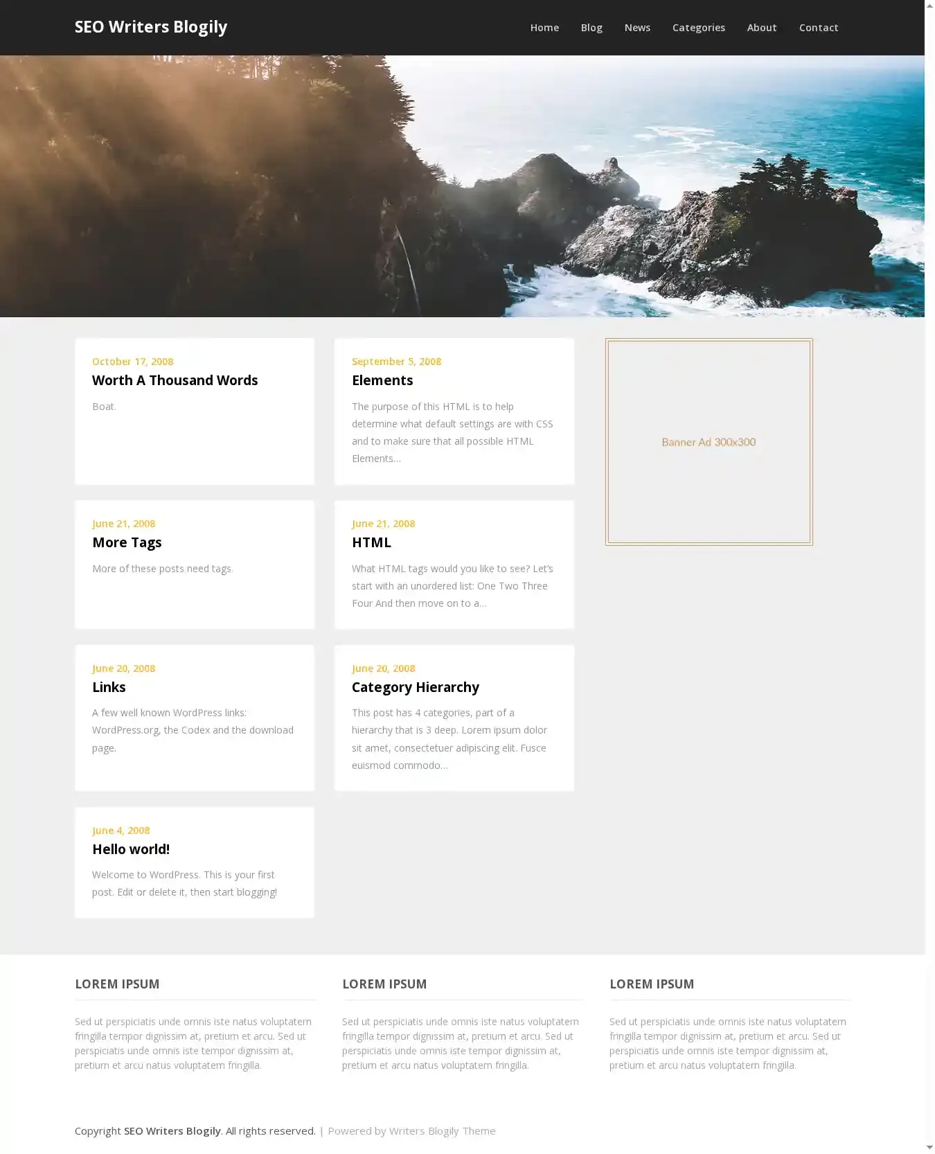 SEO Writers Blogily home page on desktop