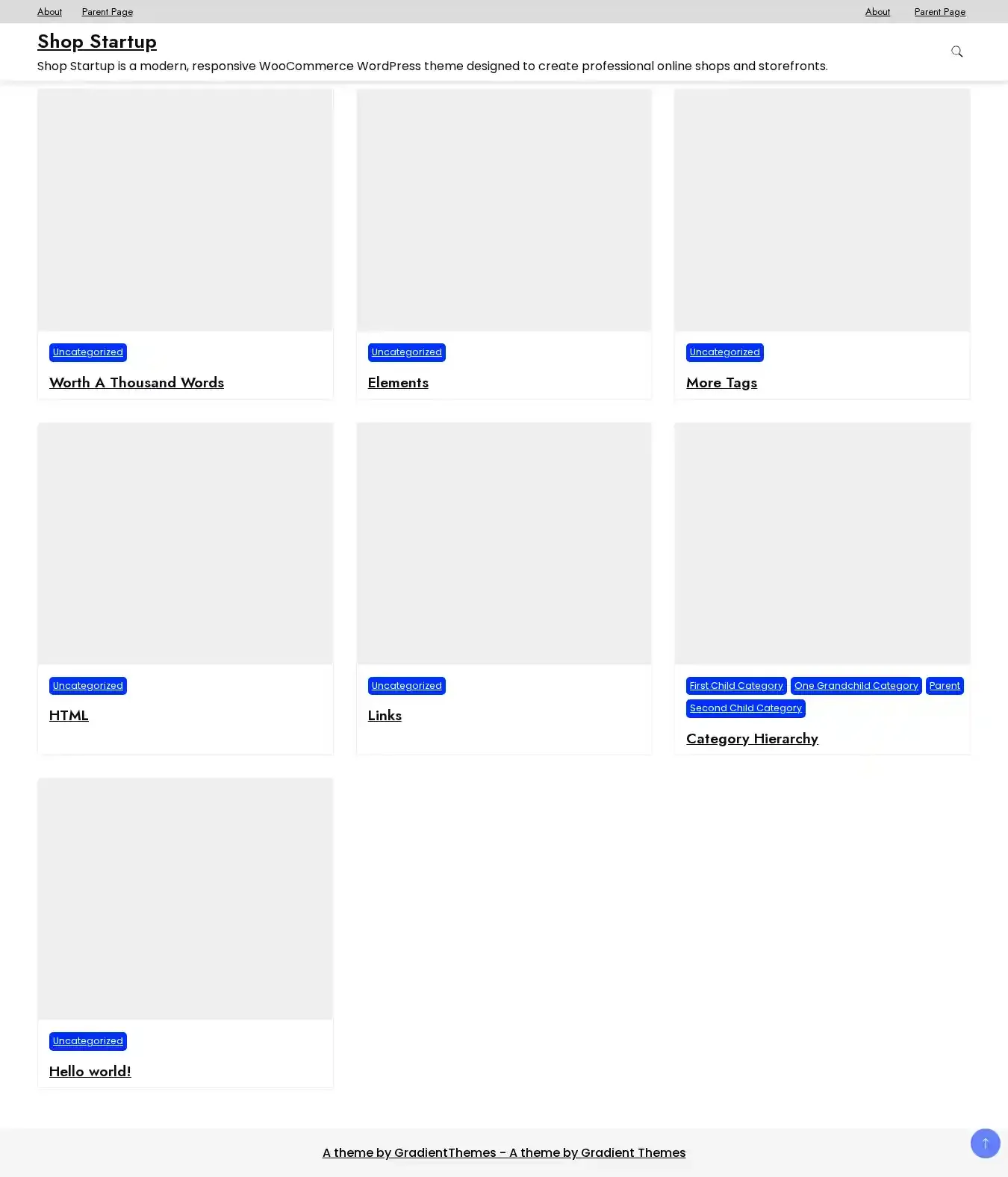 Shop Startup home page on desktop