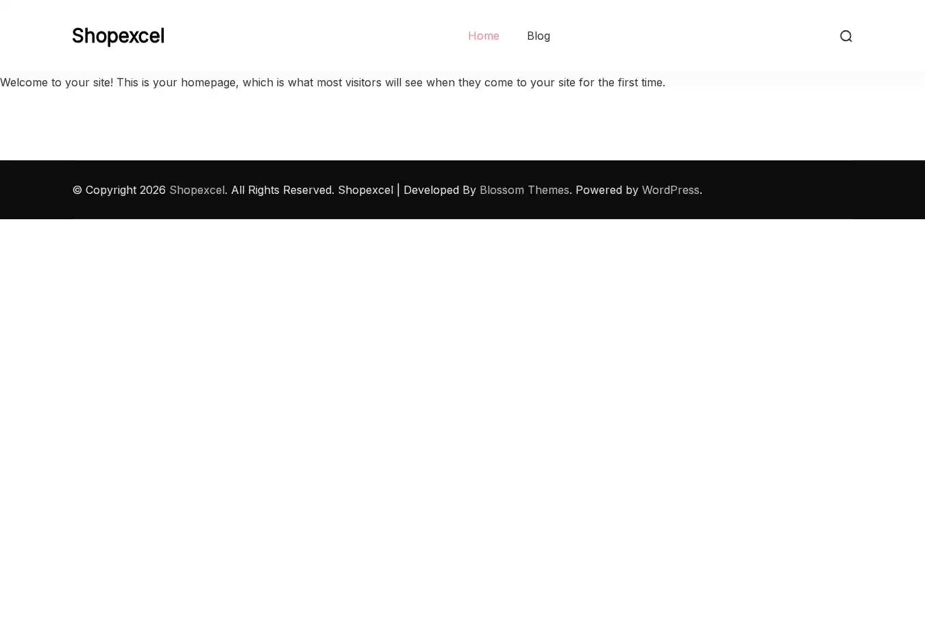 Shopexcel home page on desktop