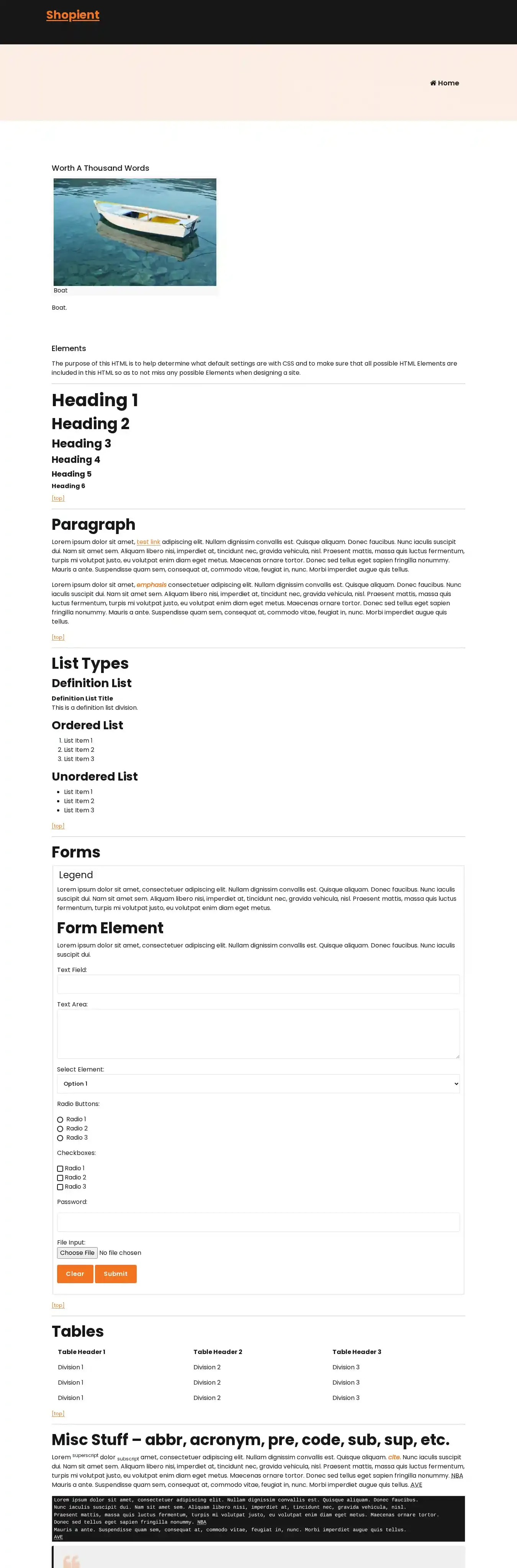 Shopient home page on desktop
