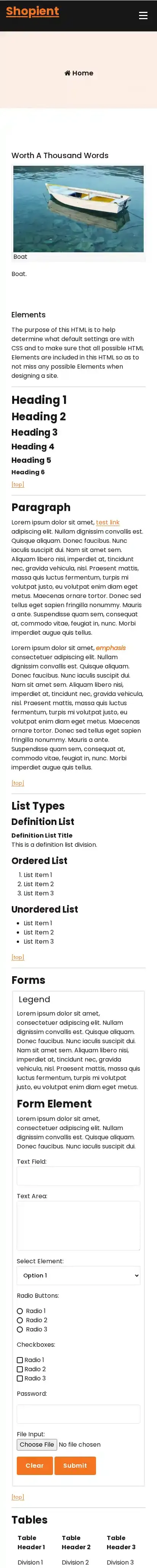 Shopient home page on mobile