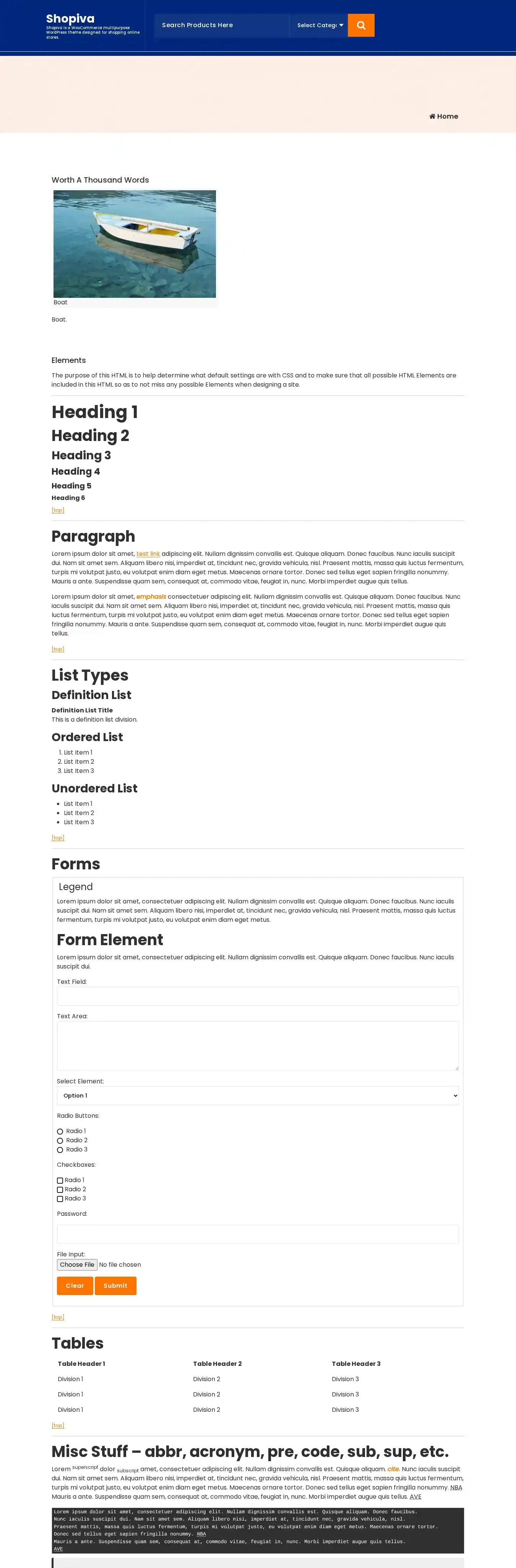 Shopiva home page on desktop