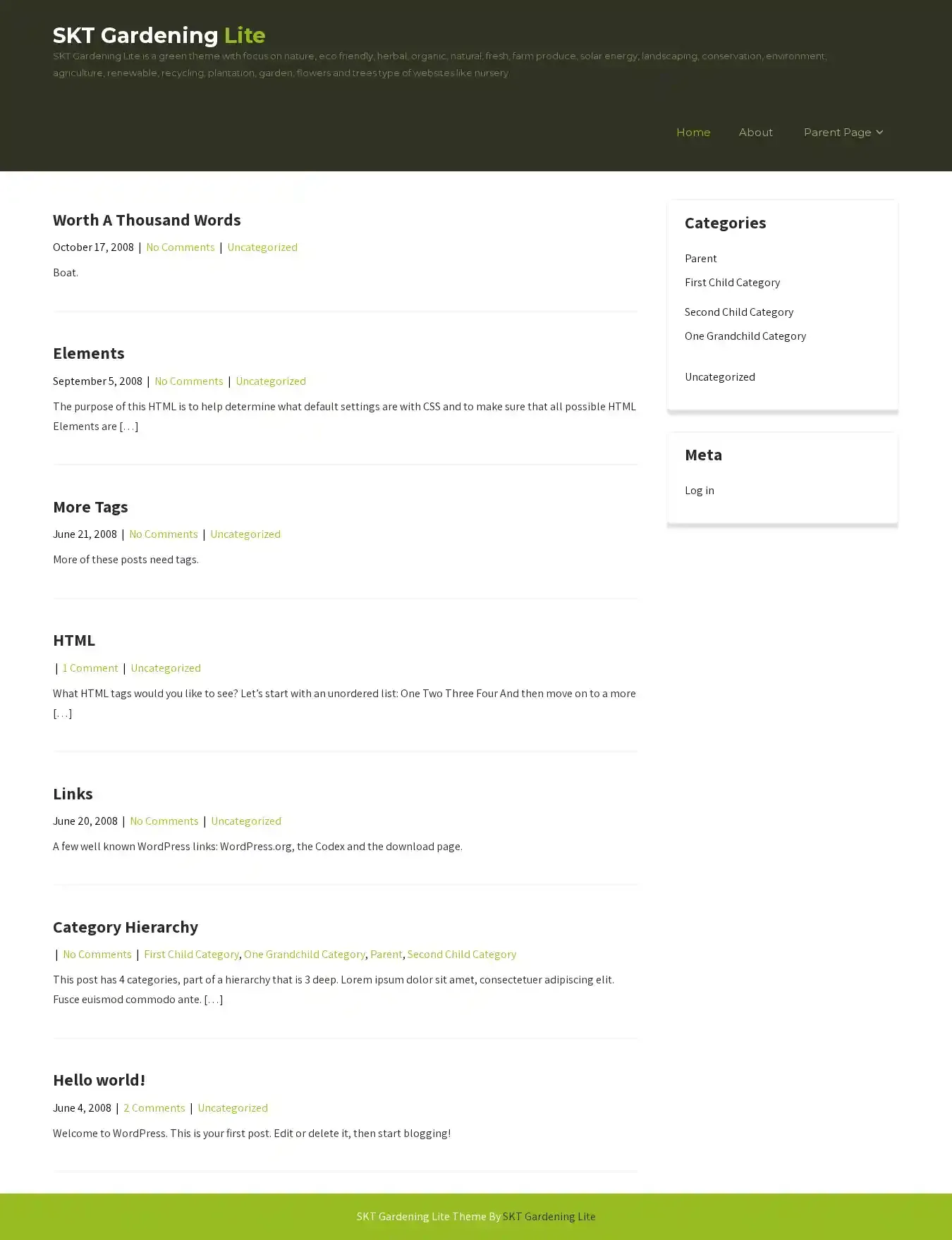 SKT Gardening Lite home page on desktop
