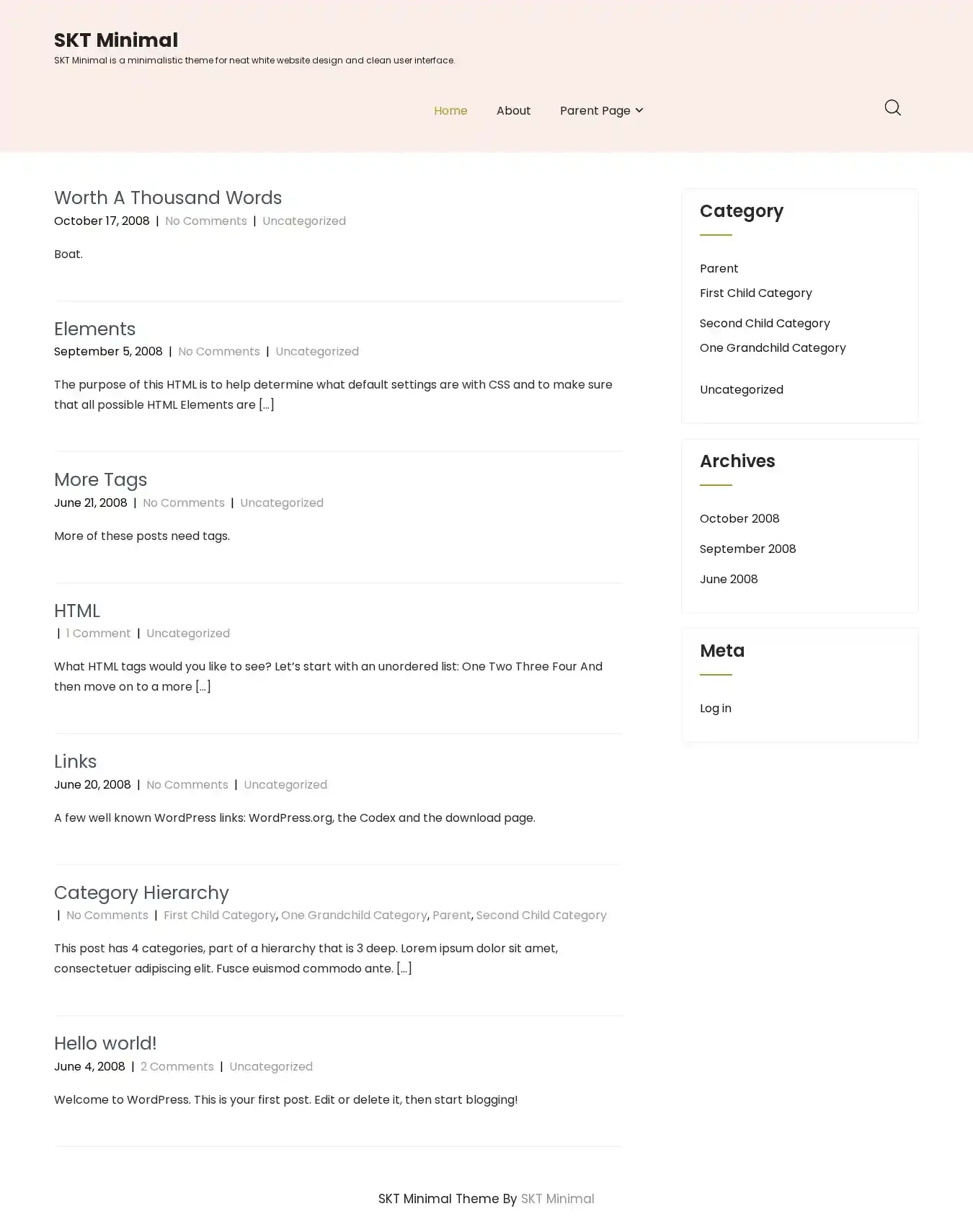 SKT Minimal home page on desktop