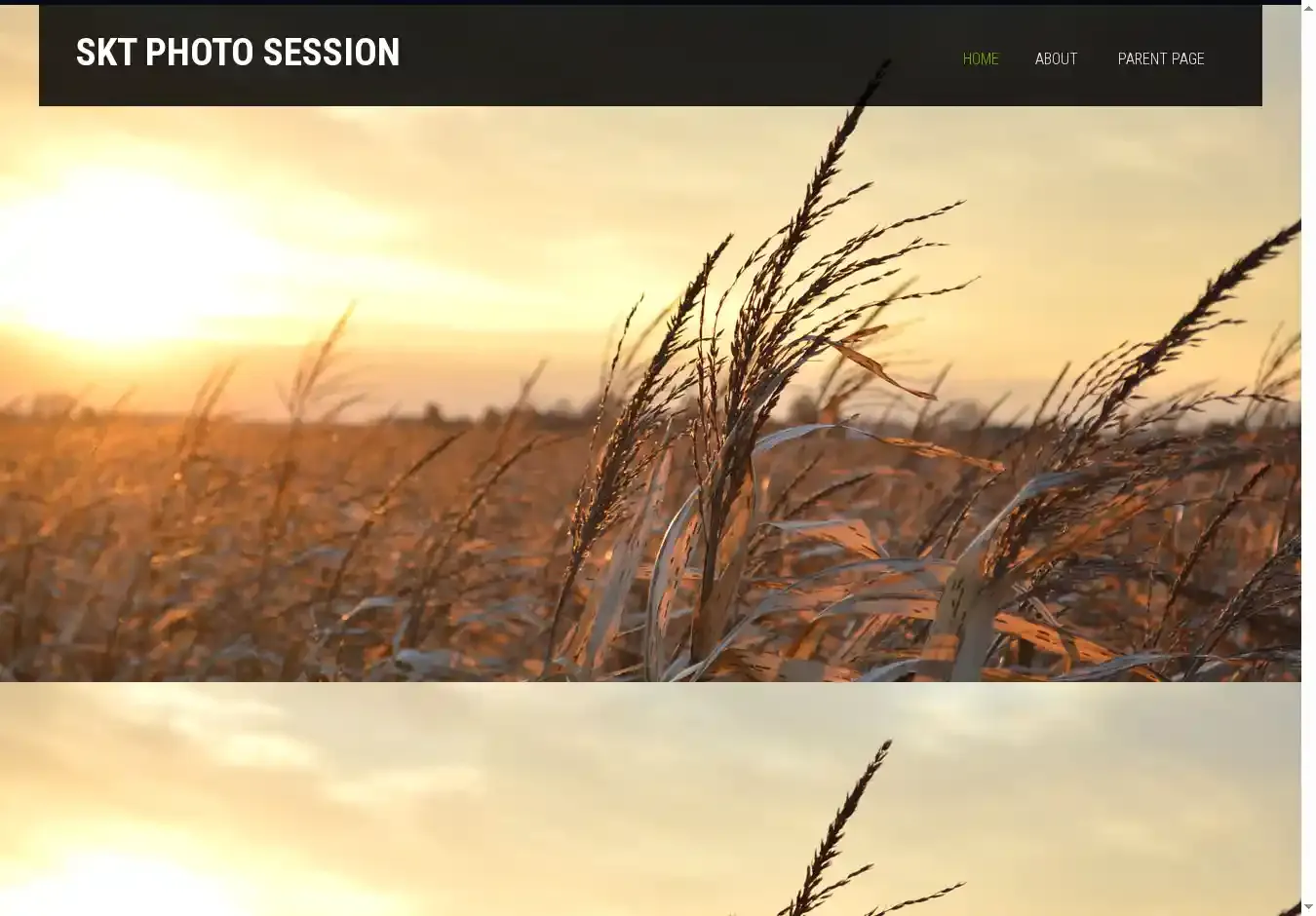 SKT Photo Session home page on desktop