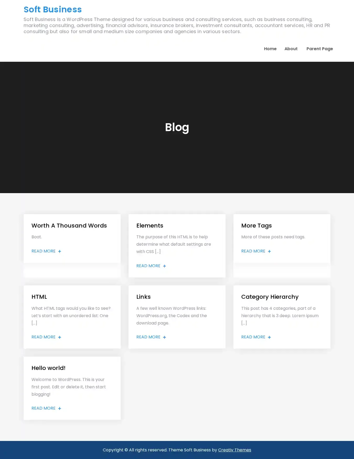 Soft Business home page on desktop