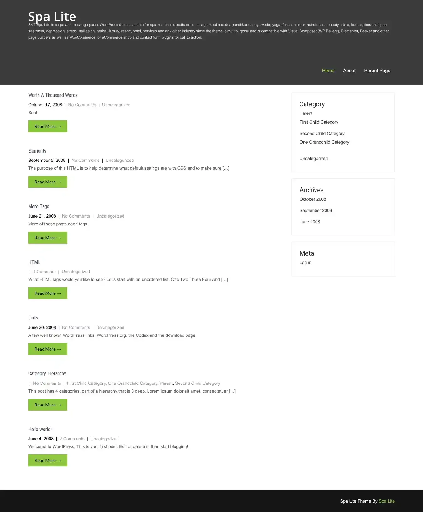 Spa Lite home page on desktop