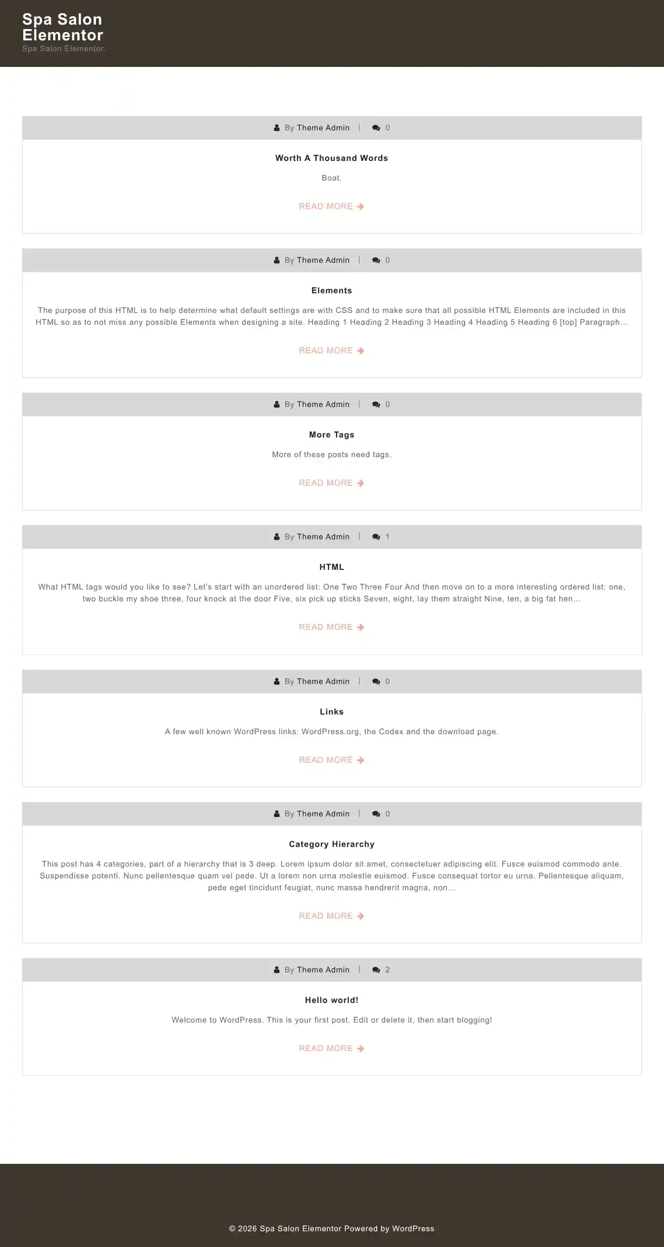 Spa Salon Elementor home page on desktop