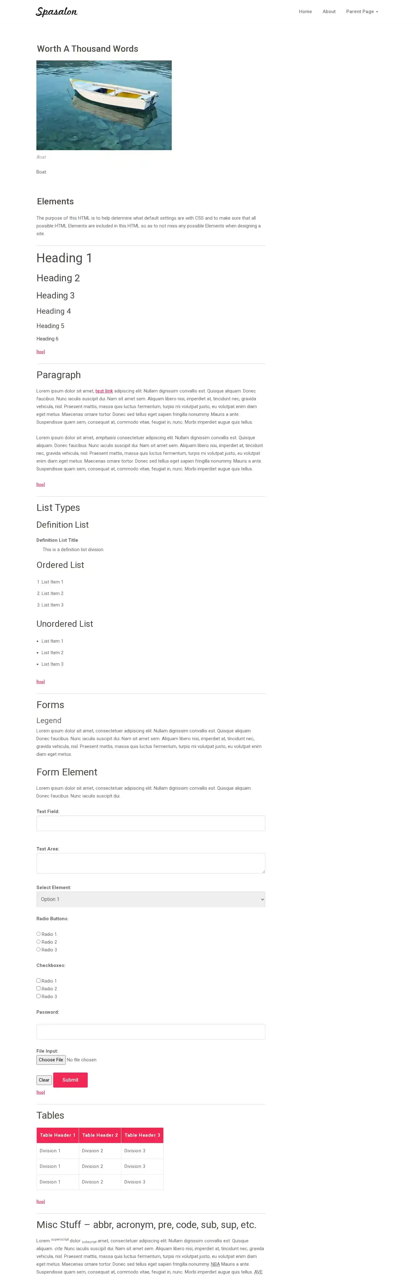 Spasalon home page on desktop