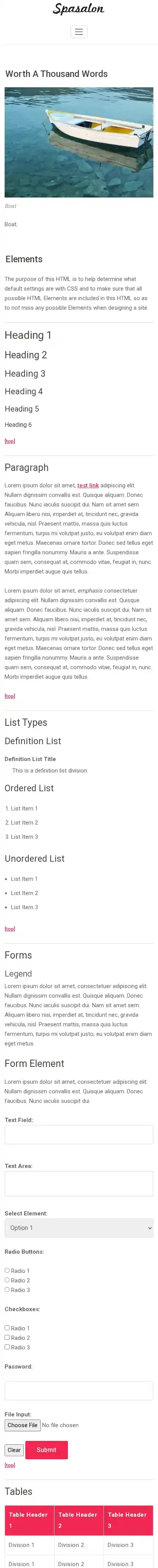 Spasalon home page on mobile