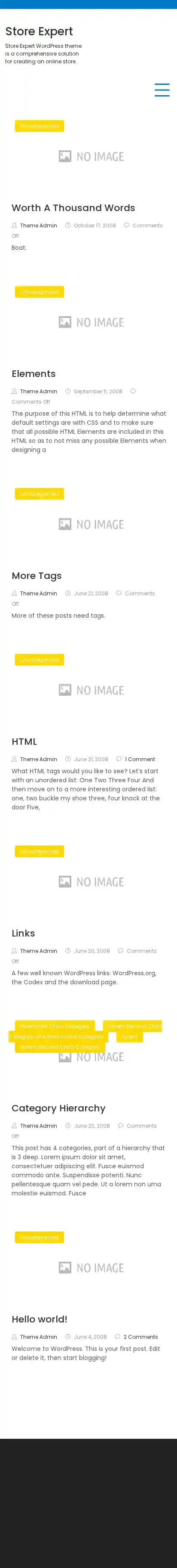Store Expert home page on mobile