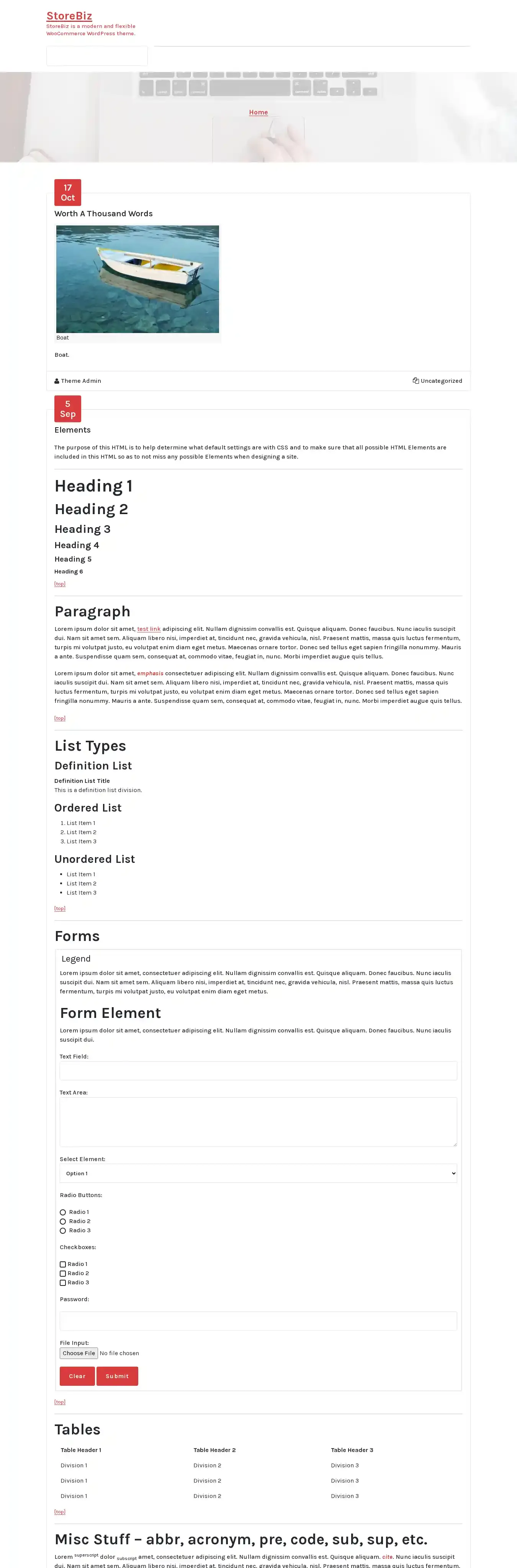 StoreBiz home page on desktop