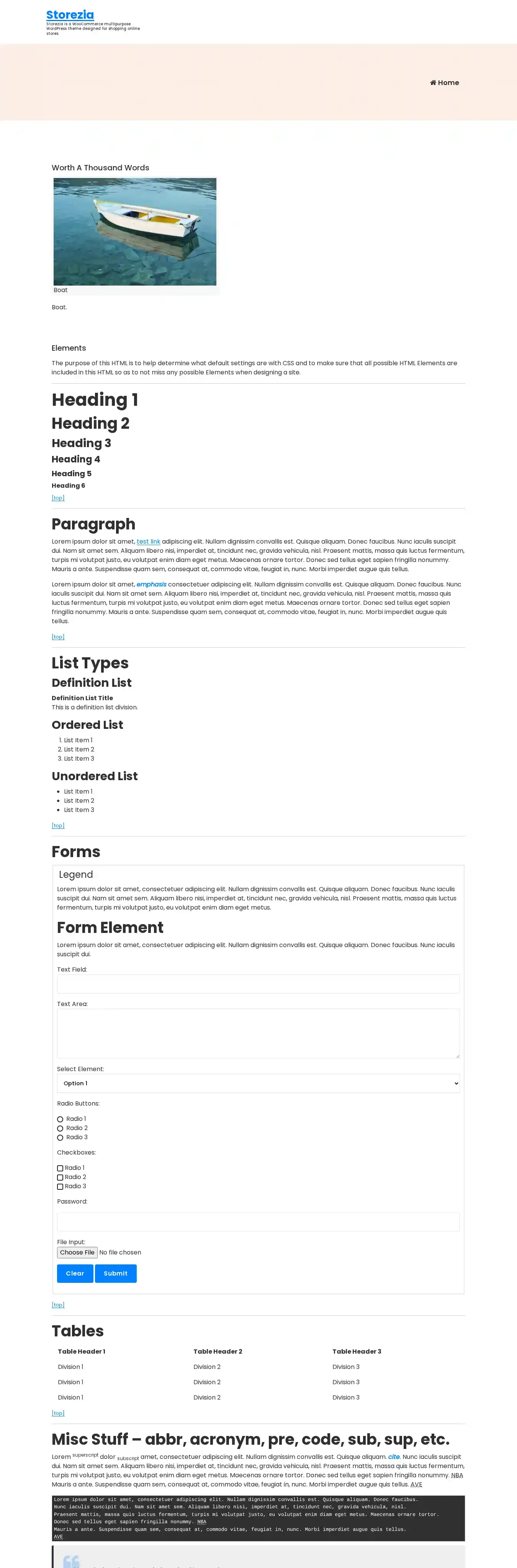 Storezia home page on desktop