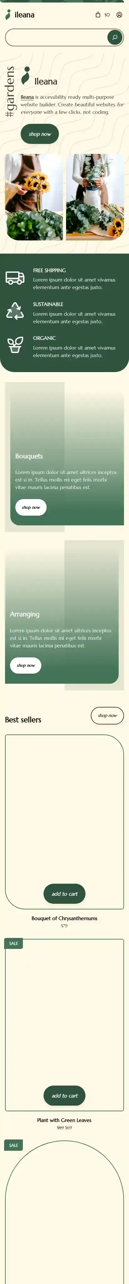 Ileana home page on mobile