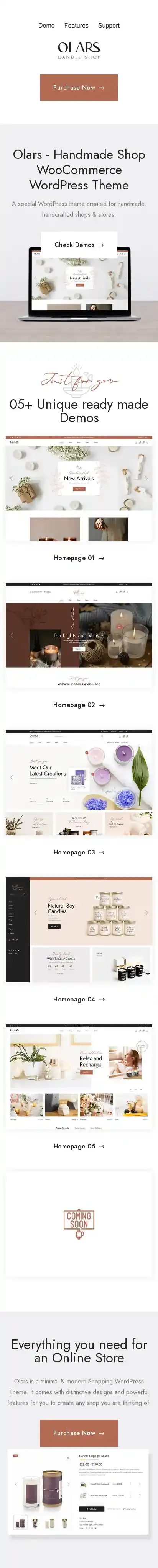 Olars home page on mobile