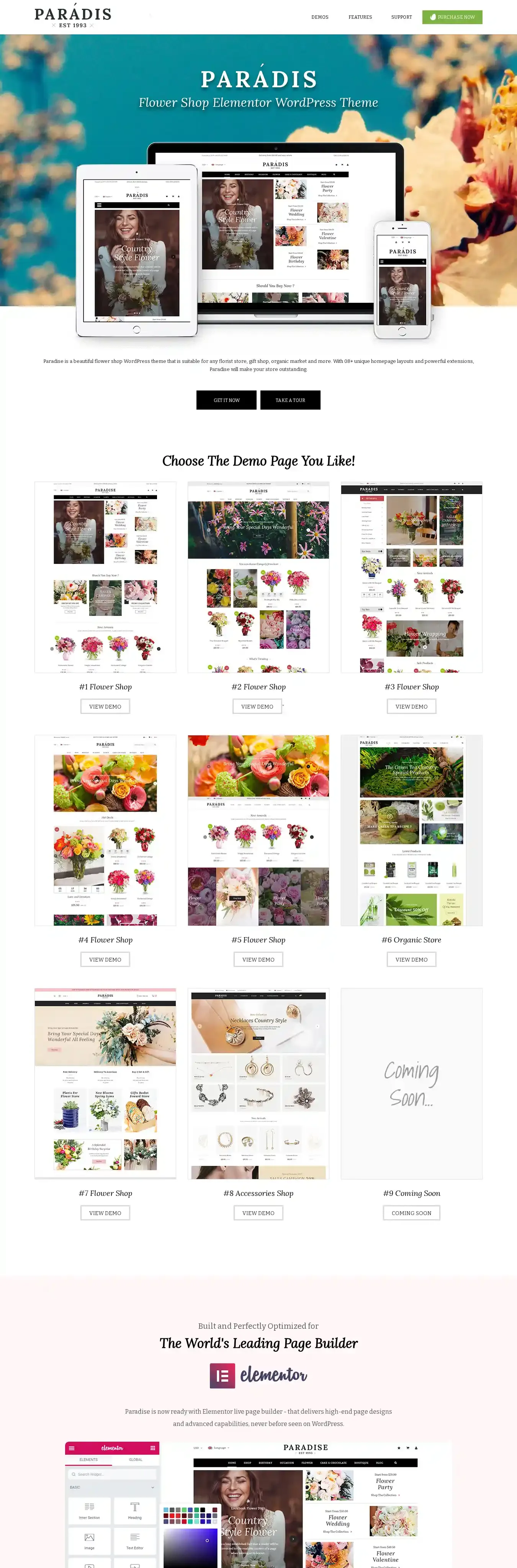 Paradise home page on desktop