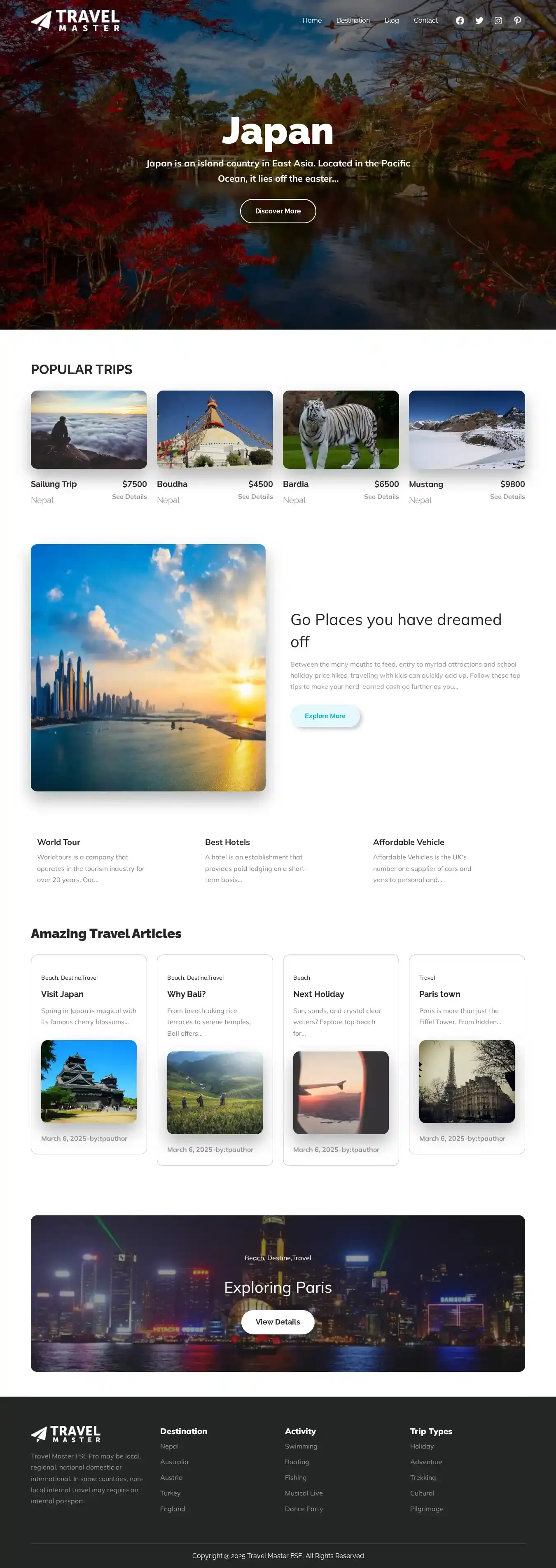 Travel Master FSE home page on desktop
