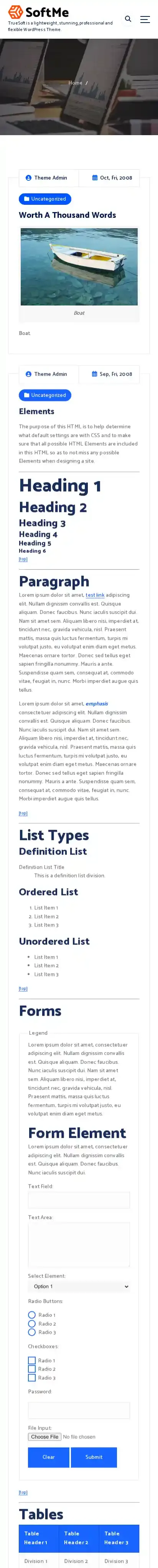 TrueSoft home page on mobile