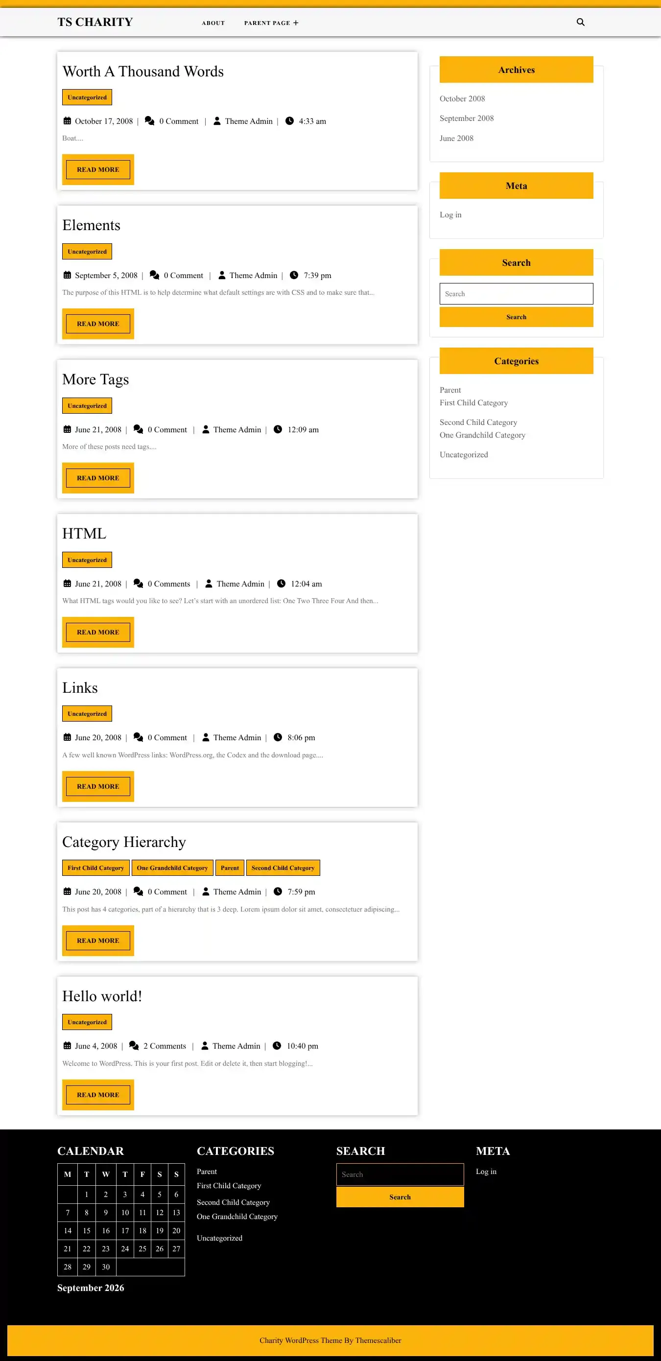 TS Charity home page on desktop
