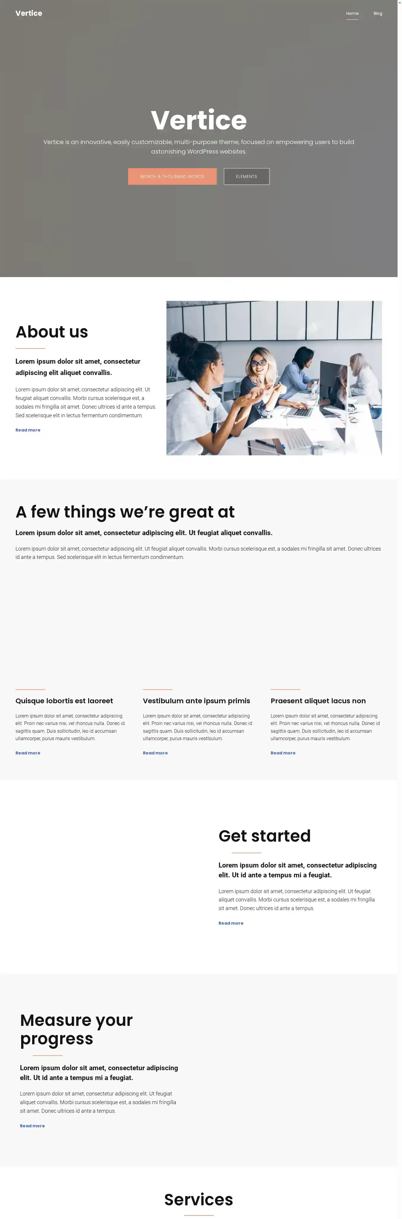 Vertice home page on desktop
