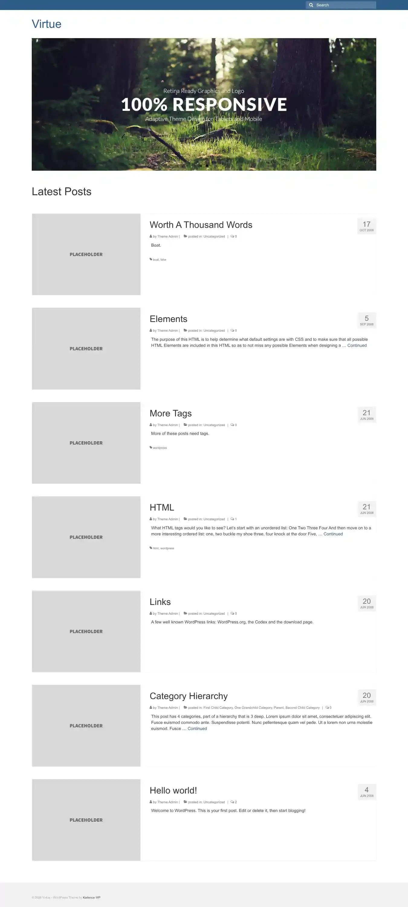Virtue home page on desktop