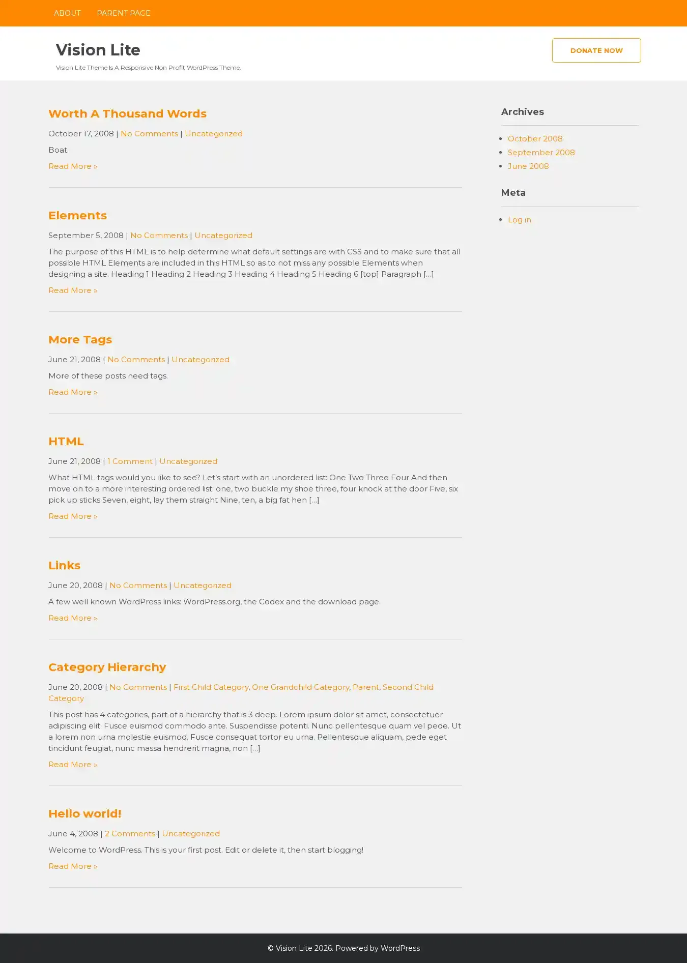 Vision Lite home page on desktop