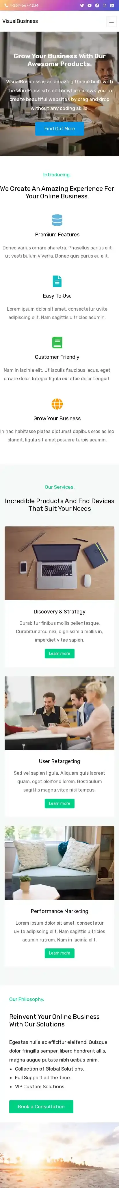 VisualBusiness home page on mobile
