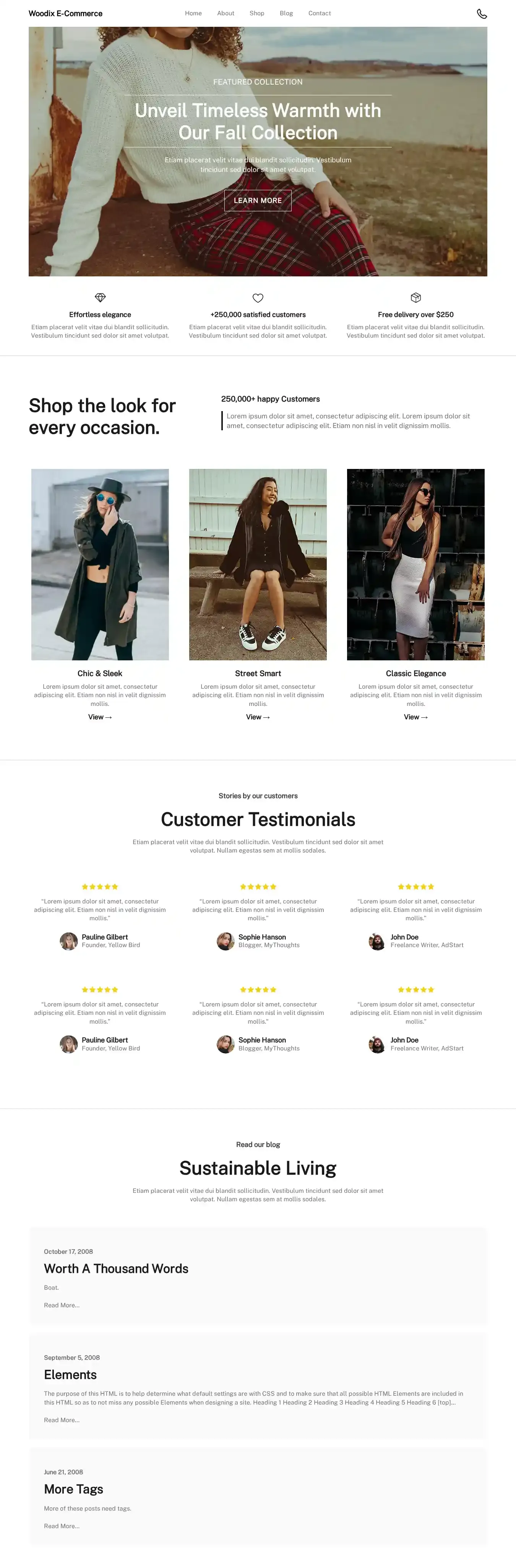 Woodix E-Commerce home page on desktop